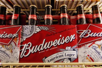 Budweiser bottles in a 6 pack