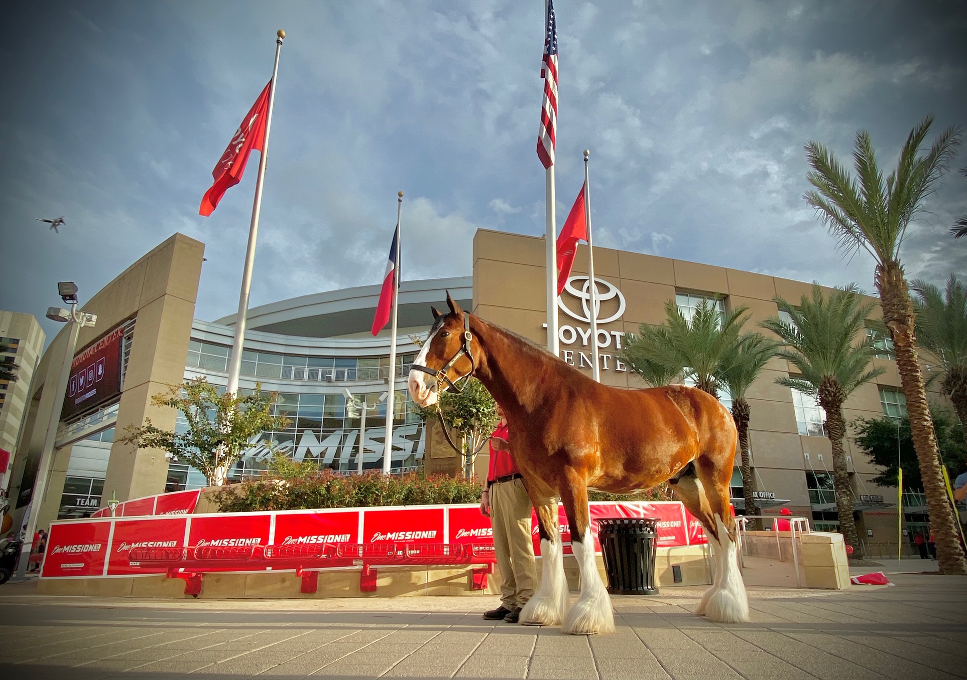 Budweiser Clydesdales’ Houston Holiday Tour 2019 Silver Eagle